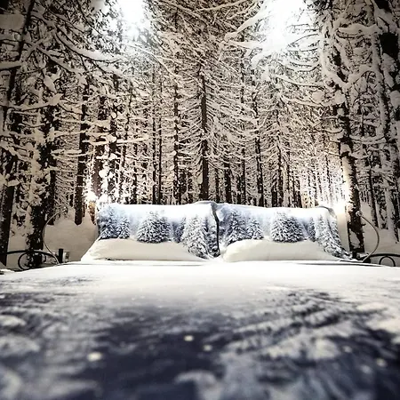 The 4 Seasons House - Free Parking *